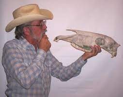 Stop measuring brains against digital computers. Cowboy Bob S Questions And Answers Page 237 Is A Horse S Brain Really The Size Of A Large Walnut