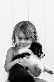 Check spelling or type a new query. Shoreline Australian Shepherds How We Raise Our Puppies