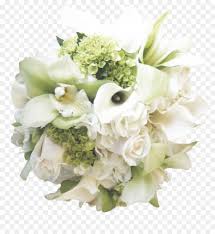 We did not find results for: Arum Lilie Blume Blumenstrauss Garten Rosen Hochzeit Hochzeit Blumen Png Herunterladen 943 1024 Kostenlos Transparent Blume Png Herunterladen