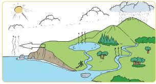 We did not find results for: Soal Tematik Kelas 5 Tema 8 Subtema 1 Semester 2 Soal Terbaru