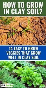 Pin On Claysoil