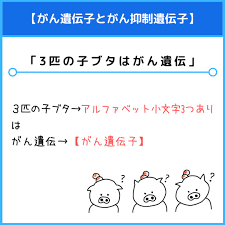 薬学ゴロ