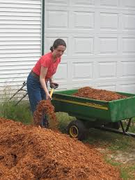 Anytime you use cypress mulch in your garden, cypress trees somewhere are the worst for it. What Is Hemlock Mulch Is Hemlock Mulch Safe To Use In Gardens