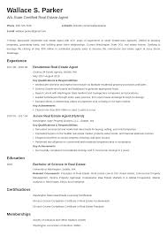 Real Estate Resume Examples And 25 Writing Tips