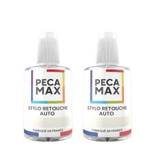 Image result for Gris Iceberg 1995 Renault