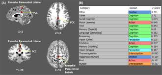 Asds are brain disorders that make it in addition, asperger's syndrome can cause some problems with motor skills, such as coordination. Resting State Abnormalities In Autism Spectrum Disorders A Meta Analysis Scientific Reports
