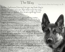 Hills and valleys with lush green grass. Rest In Peace Dog Quotes And Sayings When Does Keeping Your Sick Pet Alive Become Too Much Dogtrainingobedienceschool Com