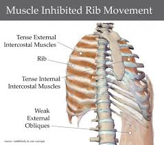 Pin On Back Pain
