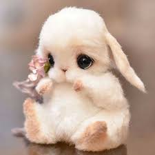 Pin By Bulent On Zajchata Baby Animals Funny Cute Funny Animals Baby Animals Super Cute