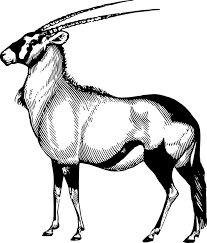 Image result for cartoon sun outline