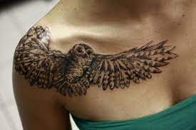 40 Cool Owl Tattoo Design Ideas With Meanings Owl Tattoo Design Cute Owl Tattoo Owl Tattoo