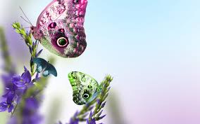 Maybe you would like to learn more about one of these? Beautiful Butterflies On Flowers Wallpaper Animals Wallpaper Better