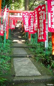 Résultat de recherche d'images pour "sasuke inari shrine"