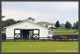 Ocala Florida Photos Small Horse Farm Horse Farms Small Horse Barns Horse Barns