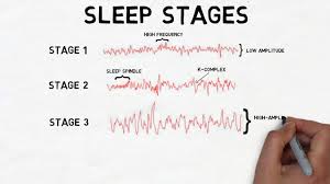2 Minute Neuroscience Stages Of Sleep
