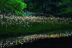 Bruce Munro Light Art In Cheekwood Botanical Garden Lights Artist Light Installation Light Art Installation