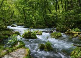 Its tributary begins from lake maloye khantayskoye (small. Valley Mountain Stream River And Lake Live Japan Travel Guide