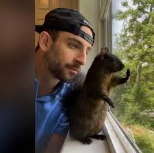 Government wrongly killed Peanut the squirrel, lawsuit says