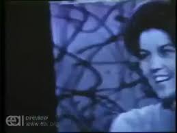 tadlock archetron vip-kh