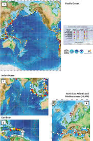 After an earthquake, different evaluations. Contributions Of Space Missions To Better Tsunami Science Observations Models And Warnings Springerlink