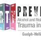 P.A.R.T.Y. (Prevent Alcohol and Risk-Related event image