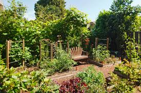 Read about the winners of the 2011 greenest block in brooklyn for other great small garden ideas. 24 Fantastic Backyard Vegetable Garden Ideas Home Stratosphere
