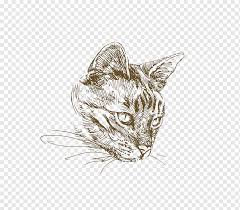 Today i will draw and paint a cat with colorful paint let's draw and color. Ilustrasi Gambar Kucing Kucing Kucing Yang Dicat Lukisan Cat Air Mamalia Kucing Seperti Mamalia Png Pngwing