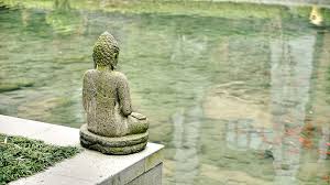 Image result for buddha on rock images