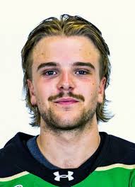 Prince Albert Raiders 2025-26 hockey player register at Hockeydb.com