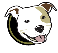 Health guarantees are good to verify that your puppy interested in a brindle pitbull mix? Save A Bull Rescue Rescue Rehabilitate Rehome