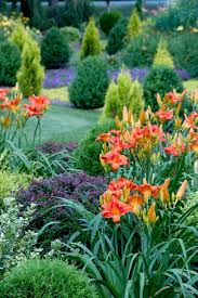 24 Perennial Plant Combinations That Look Amazing All Summer Long In 2020 Perennial Plants Plants Perennial Garden