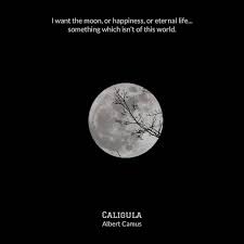 Discover caligula famous and rare quotes. Caligula Albert Camus Happy Quotes Original Quotes Eternal Life