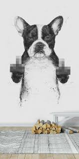 Censored Dog Wallpaper In 2020 Dog Wallpaper Wall Murals Aesthetic Iphone Wallpaper