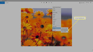 We did not find results for: How Do I Change The Wallpaper On My Computer Or Phone