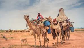 مصدر الخبر / صحيفة السوداني. Ø§Ù„Ø³ÙˆØ¯Ø§Ù† Ø¨Ø¹ÙŠÙˆÙ† Ø³Ø¹ÙˆØ¯ÙŠØ© Ø±Ø­Ù„Ø© Ù„Ø§ÙƒØªØ´Ø§Ù Ø¬Ù…Ø§Ù„ Ø£Ø±Ø¶ Ø§Ù„Ù†ÙŠÙ„ÙŠÙ†
