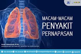 Ppiptek Official Site