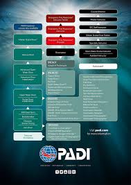 Padi Flowchart 2018 Padi Pros