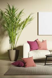 How to decorate with plants indoors. 12 Best Indoor Plants A Guide To Popular House Plants
