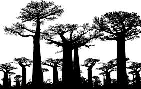 ✓ free for commercial use ✓ high quality images. Forest Trees Silhouette Free Vector Graphic On Pixabay