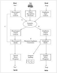These groups are displayed in buttons at the top of the results. Behavioral Sciences Free Full Text Targeting Complex Orthography In The Treatment Of A Bilingual Aphasia With Acquired Dysgraphia The Case Of A Malay English Speaker With Conduction Aphasia Html