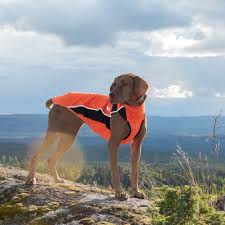 Eddie High Visibility Reflective Orange Jumper for Dogs