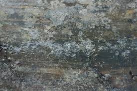 Résultat de recherche d'images pour "stone texture"