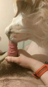 Dog licking man porn