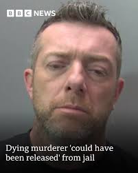 A man jailed for murdering his stepdaughter could have been released early 