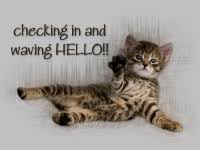 Checking In And Waving Hello Funny Cats And Dogs Cats Cute Funny Animals