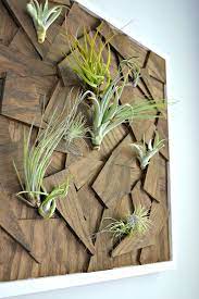 Image Result For Air Plant Wall Art Plant Wall Scrap Wood Art Wood Wall Art Diy