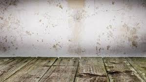 Togliere La Muffa Dai Muri Definitivamente Come Fare Cement Walls My Room Wall