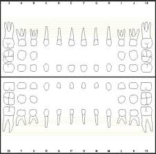 Making Entries In The Patient Records Dental Records Best