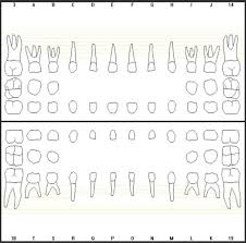 Making Entries In The Patient Records Dental Records Best