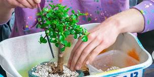 Bonsai Workshop at To Share Brewing Company